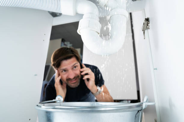 Best Affordable Plumber Near Me  in Zumbrota, MN