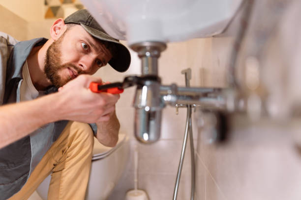 Best Residential Plumbing Services  in Zumbrota, MN